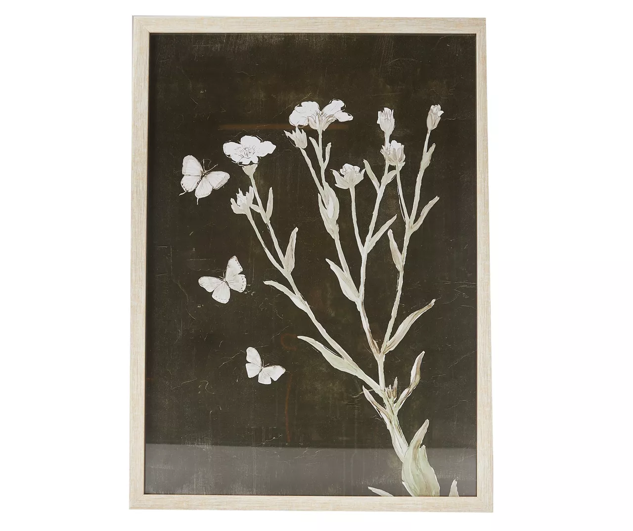 Black & White Butterfly Botanical Framed Art Print 3 Black & White Butterfly Botanical Framed Art Print