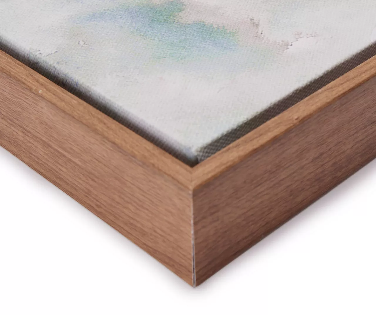 Blue & Brown Fish 2 Framed Canvas 4 Blue & Brown Fish 2 Framed Canvas - Image 2