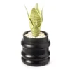 Wild Sedona Artificial Succulent In Black Ribbed Cement Pot -Broyhill 810601867 A0 1