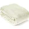 Sage Twin/Full Plush Velvet Blanket -Broyhill 810609057 810609055 A0 2 1