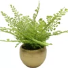 Homeward Artificial Greenery In Gold Cement Pot 2 Homeward Artificial Greenery In Gold Cement Pot -Broyhill 810620678 A0